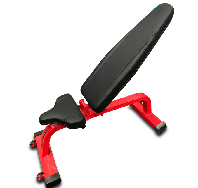 FBS - Black with Stainless Lip